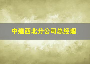 中建西北分公司总经理