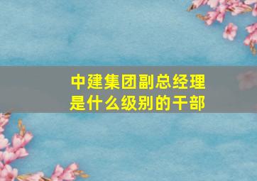 中建集团副总经理是什么级别的干部