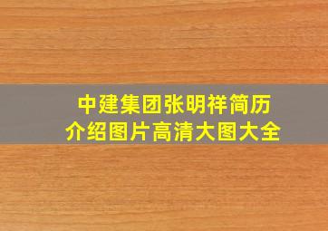 中建集团张明祥简历介绍图片高清大图大全