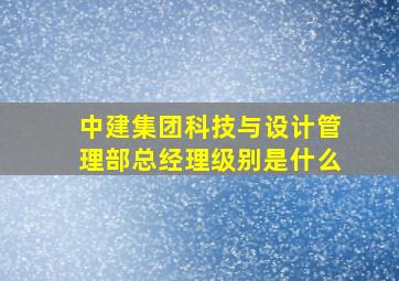 中建集团科技与设计管理部总经理级别是什么