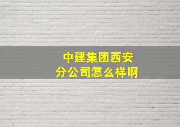 中建集团西安分公司怎么样啊