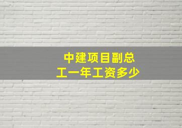 中建项目副总工一年工资多少