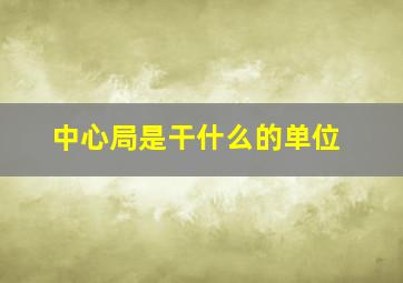 中心局是干什么的单位