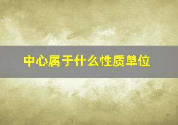 中心属于什么性质单位