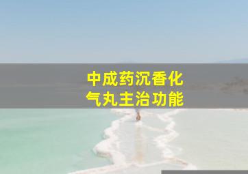 中成药沉香化气丸主治功能