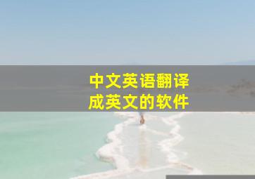 中文英语翻译成英文的软件