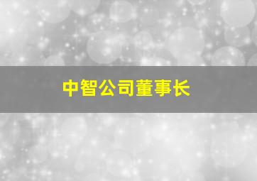 中智公司董事长