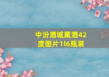 中汾酒城藏酒42度图片1l6瓶装