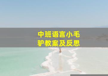 中班语言小毛驴教案及反思