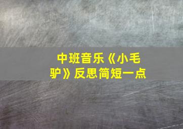 中班音乐《小毛驴》反思简短一点