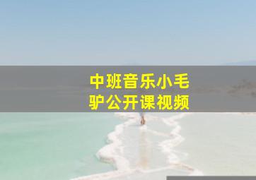 中班音乐小毛驴公开课视频