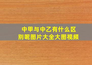 中甲与中乙有什么区别呢图片大全大图视频