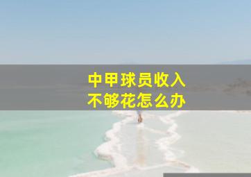 中甲球员收入不够花怎么办