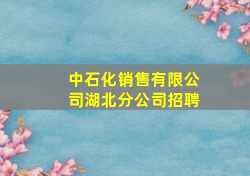 中石化销售有限公司湖北分公司招聘