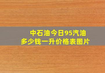 中石油今日95汽油多少钱一升价格表图片