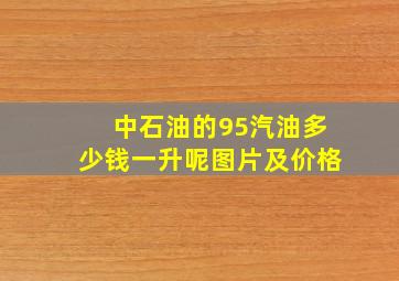 中石油的95汽油多少钱一升呢图片及价格