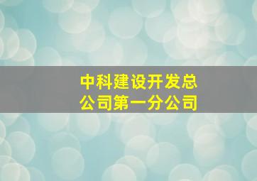 中科建设开发总公司第一分公司