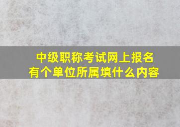 中级职称考试网上报名有个单位所属填什么内容