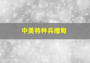 中美特种兵缅甸