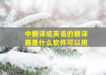 中翻译成英语的翻译器是什么软件可以用