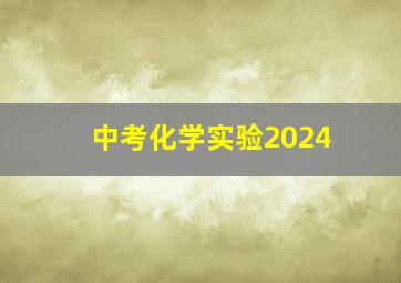 中考化学实验2024