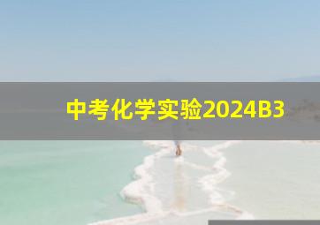 中考化学实验2024B3