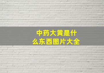 中药大黄是什么东西图片大全