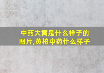 中药大黄是什么样子的图片,黄柏中药什么样子