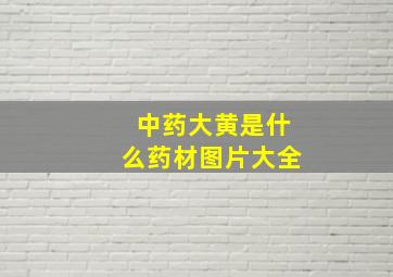 中药大黄是什么药材图片大全