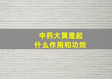 中药大黄是起什么作用和功效