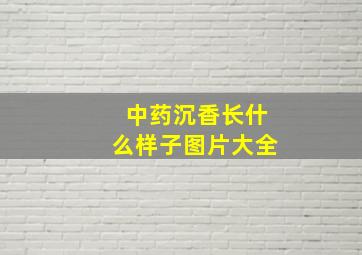 中药沉香长什么样子图片大全