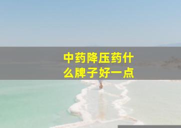 中药降压药什么牌子好一点