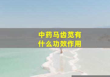 中药马齿苋有什么功效作用