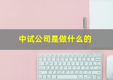 中试公司是做什么的