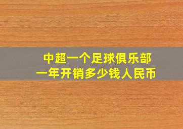 中超一个足球俱乐部一年开销多少钱人民币