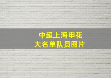 中超上海申花大名单队员图片