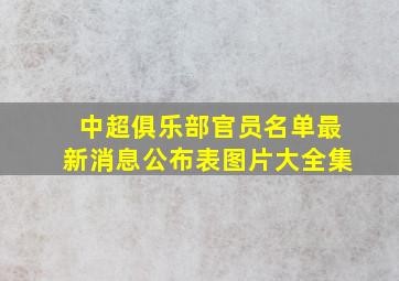 中超俱乐部官员名单最新消息公布表图片大全集