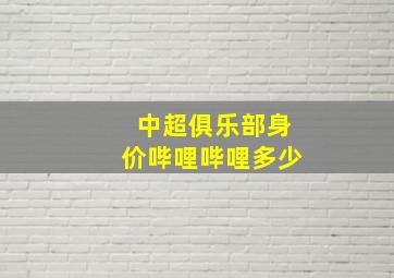 中超俱乐部身价哔哩哔哩多少