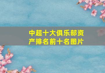 中超十大俱乐部资产排名前十名图片