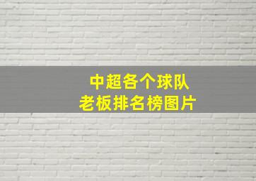 中超各个球队老板排名榜图片