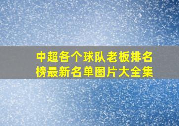 中超各个球队老板排名榜最新名单图片大全集