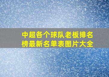 中超各个球队老板排名榜最新名单表图片大全