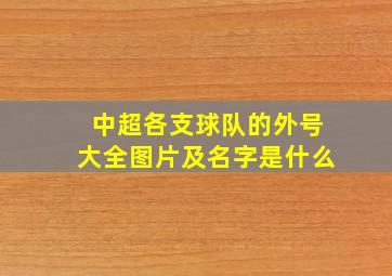 中超各支球队的外号大全图片及名字是什么