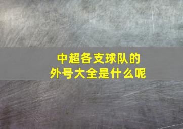 中超各支球队的外号大全是什么呢