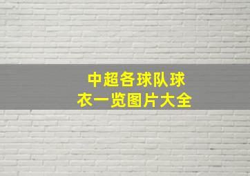 中超各球队球衣一览图片大全