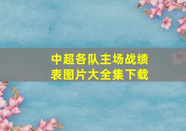 中超各队主场战绩表图片大全集下载