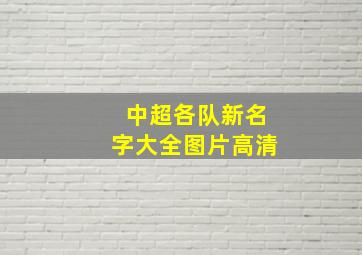 中超各队新名字大全图片高清