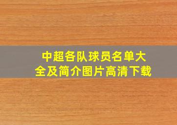 中超各队球员名单大全及简介图片高清下载