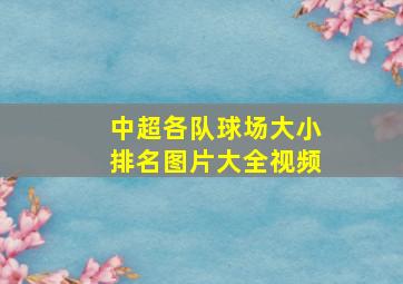 中超各队球场大小排名图片大全视频