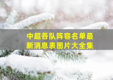 中超各队阵容名单最新消息表图片大全集